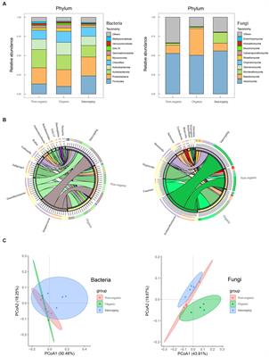 Differences in microbial community structure and metabolic activity among tea plantation soils under different management strategies